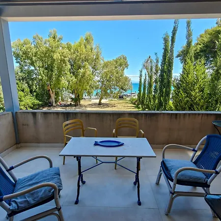 Eucalyptus 2019 Floor Two-balconies Beachfront Frínion